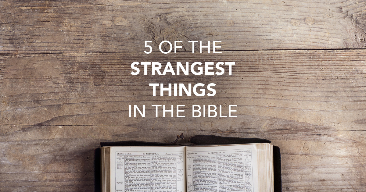5 Strange Things on  - Part 5